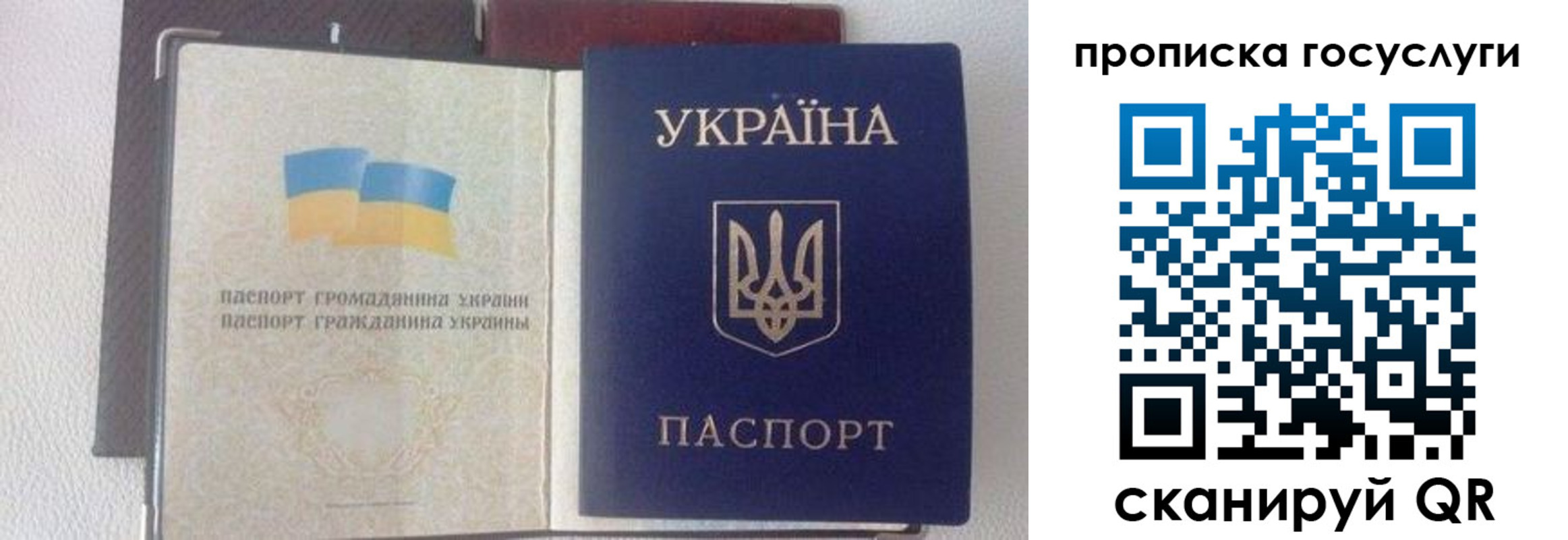 временная регистрация недорого в Чайковском